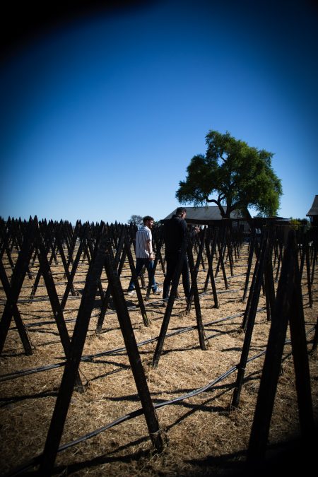 Winemakers Dinner <br> PIUS x Margarethenhof